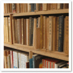 寒くなりました