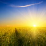 コロナウィルス感染予防対策に伴う休校のお知らせ